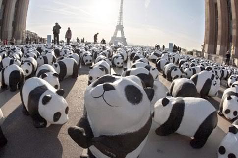 1600pandas_wwf4