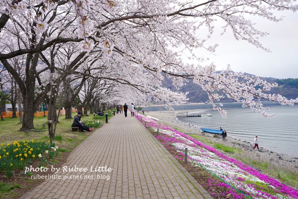 DSC03850-1.jpg