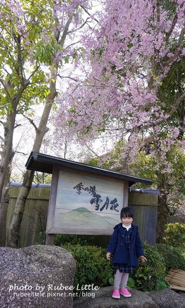 DSC01479-2.jpg