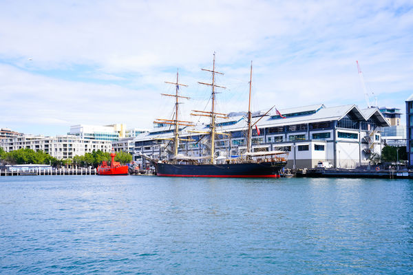DSC01636-1.jpg